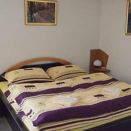 Pensjonat Jany Luhačovice